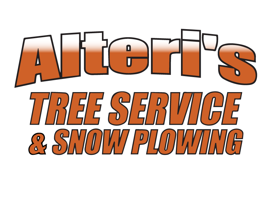 Alteris Tree Service and Snow Plowing